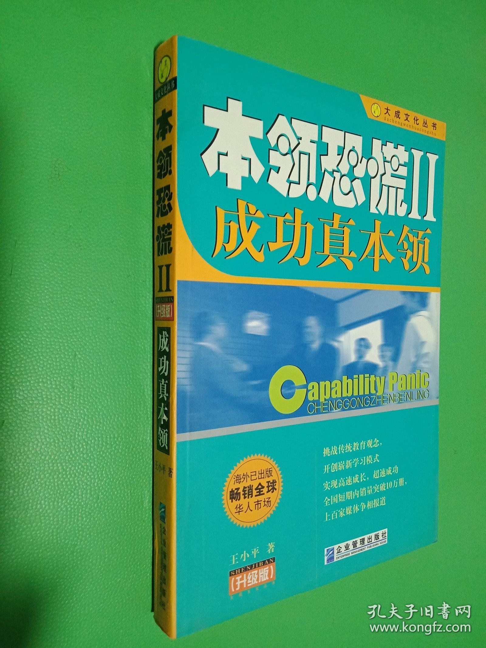 本领恐慌：成功真本领:升级版