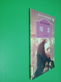 中外文学作品赏析 母亲