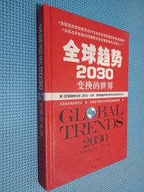 全球趋势2030：变幻的世界（精装）