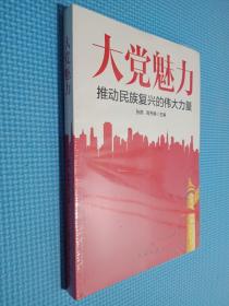 大党魅力