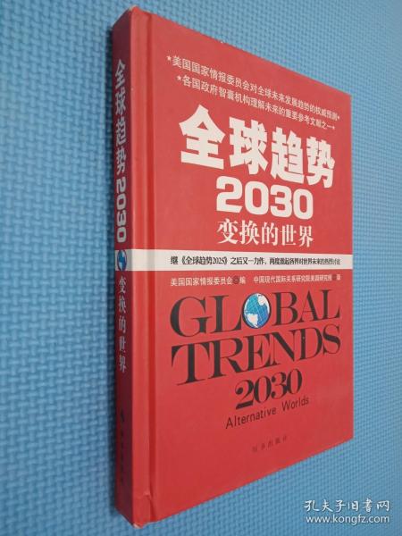 全球趋势2030：变幻的世界（精装）