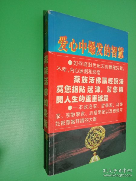 爱心中爆发的智慧:增订本