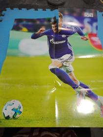 足球明星海报：莱昂.戈雷茨卡／弗兰克.里贝里