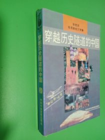 穿越历史隧道的中国:张胜友电视报告文学集