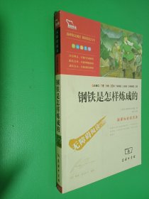 钢铁是怎样炼成的