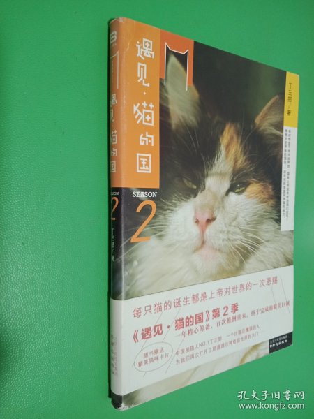 遇见·猫的国 第2季