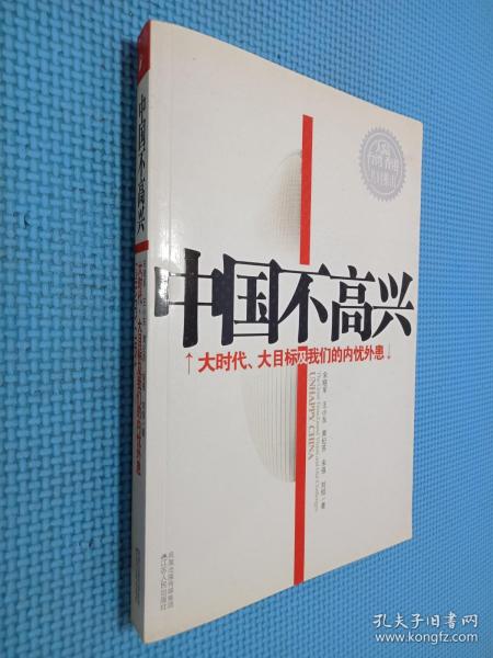 中国不高兴：大时代大目标及我们的内忧外患