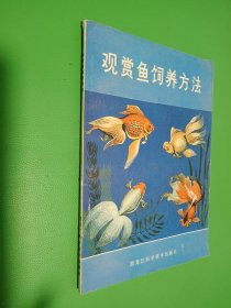 观赏鱼饲养方法