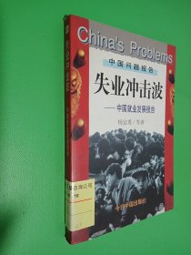 失业冲击波:中国就业发展报告