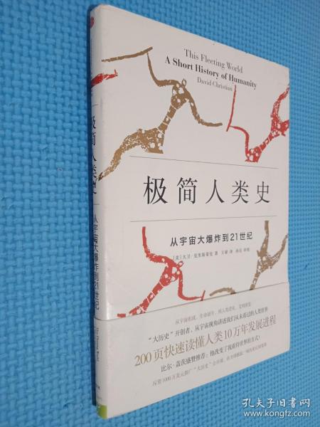 极简人类史：从宇宙大爆炸到21世纪