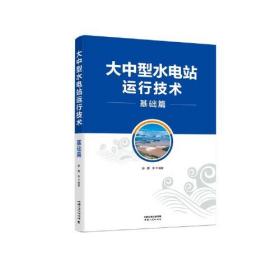 正版书 大中型水电站运行技术·基础篇