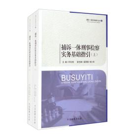 捕诉一体刑事检察实务基础指引（套装上下册）