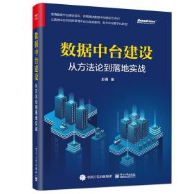 数据中台建设：从方法论到落地实战(博文视点出品)