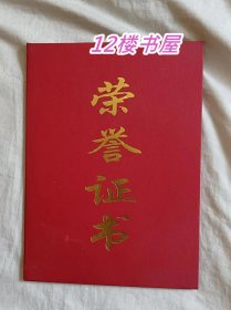 第十二届世界夏季特殊奥林匹克运动会中国体育代表团优秀运动员-荣誉证书