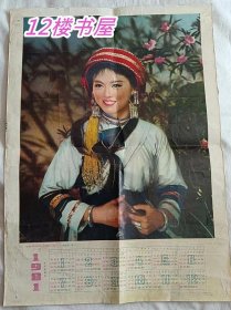 1981年 年历宣传画