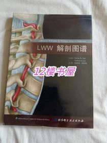 LWW 解剖图谱