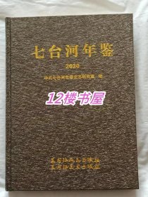 七台河年鉴-2020