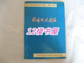 哈尔滨铁路枢纽扩建（一期）工程 技术论文选编