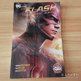 The Flash Season Zero