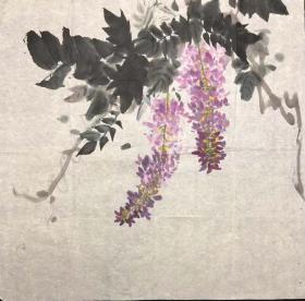 紫藤（毛笔手绘老画片）