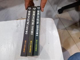 世界文化史（古代卷、近代卷、现当代卷）全3册合让 店