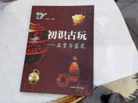 初识古玩： 品赏与鉴定