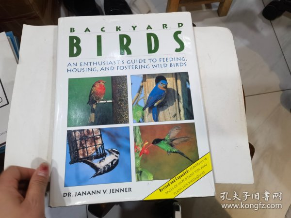 BACKYARD BIRDS--后院的小鸟【大16开精装】