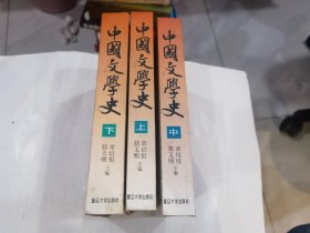 中国文学史上中下全    精装    店