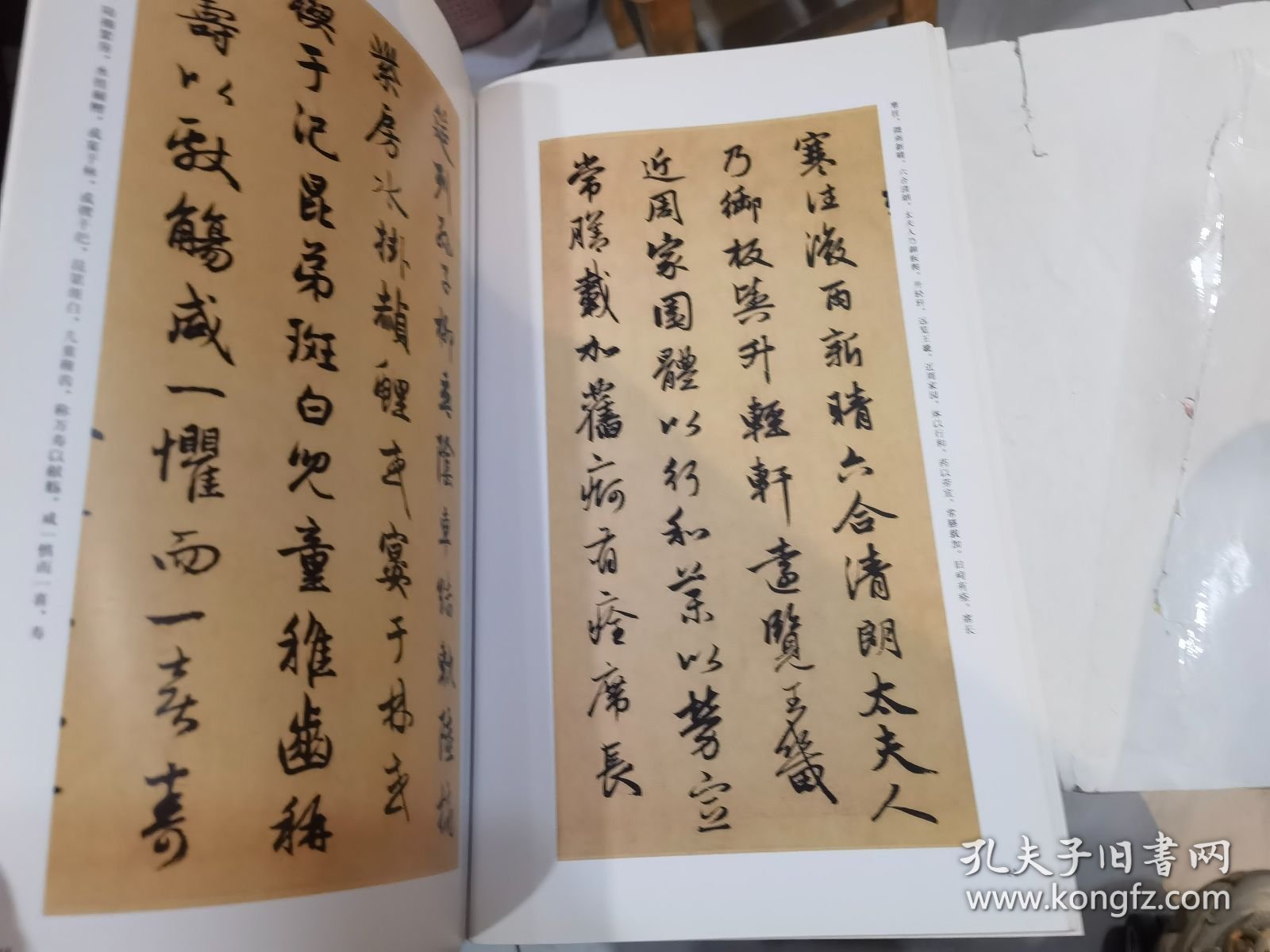 中国经典碑帖荟萃：赵孟頫\闲居赋 洛神赋