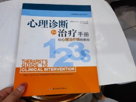 心理诊断与治疗手册:给心理治疗师的指南