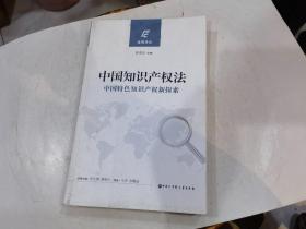 中国知识产权法（中国特色知识产权新探索）