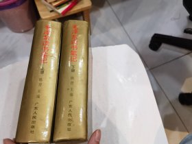 毛泽东读书笔记上下册全  1994年1印