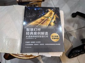 智慧灯杆经典案例解读:从道路照明到智慧灯杆