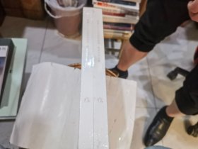 陈家泠作品展 神游——三山五岳四圣地 长8开 全2册一套