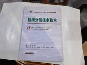 精细分层注水技术（中国石油科技进展丛书2006-2015年）