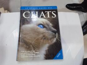 chats   猫 .