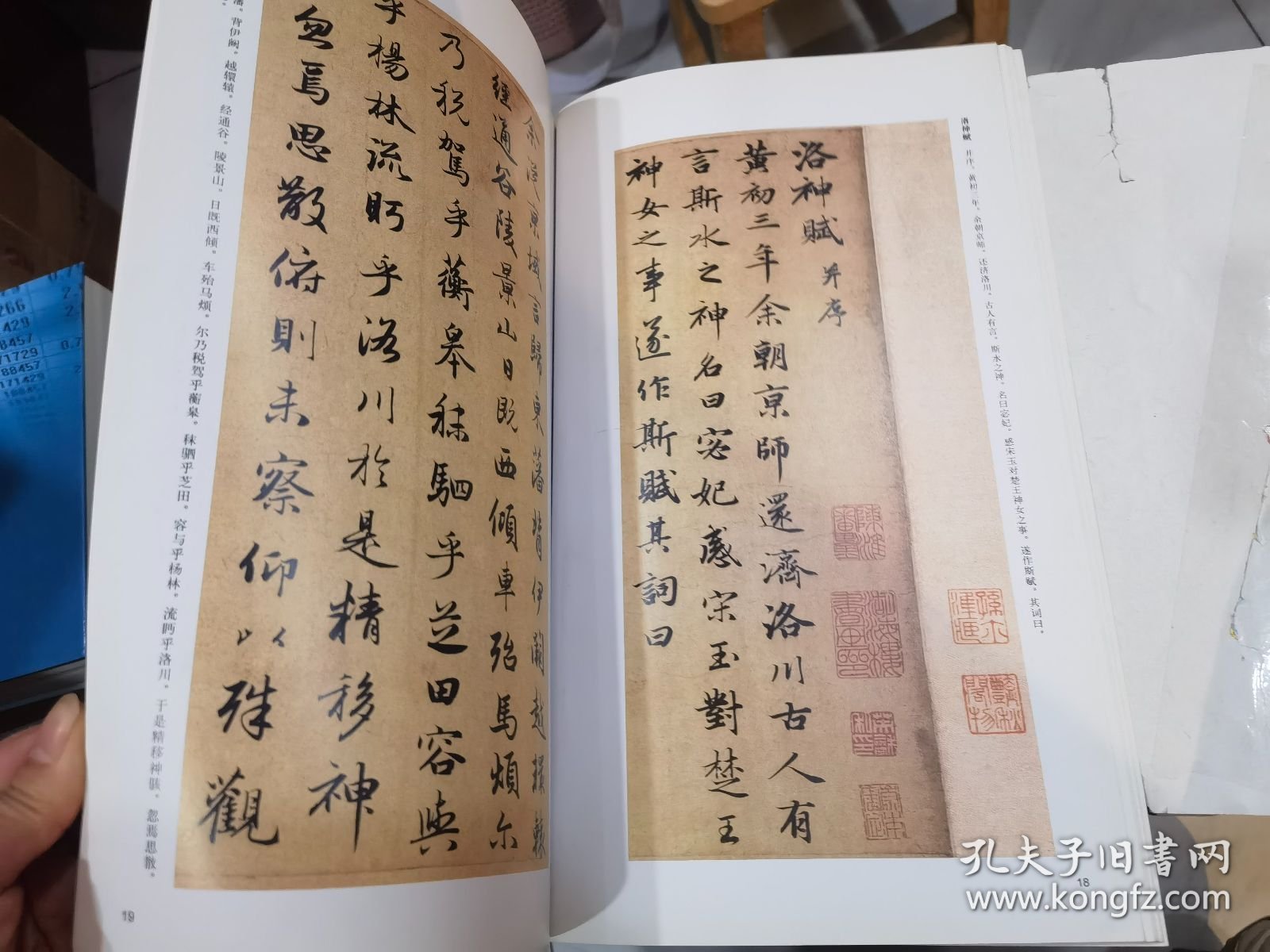 中国经典碑帖荟萃：赵孟頫\闲居赋 洛神赋
