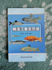 楠溪江鱼类图谱