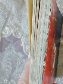 蓝盾在行动 泰山秘闻奇案录(泰安市•侦破)