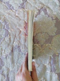 蓝盾在行动 泰山秘闻奇案录(泰安市•侦破)