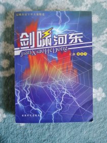 剑啸河东 运城公安十年大案精选（山西运城•侦破）