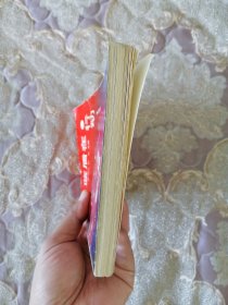 蓝盾在行动 泰山秘闻奇案录(泰安市•侦破)