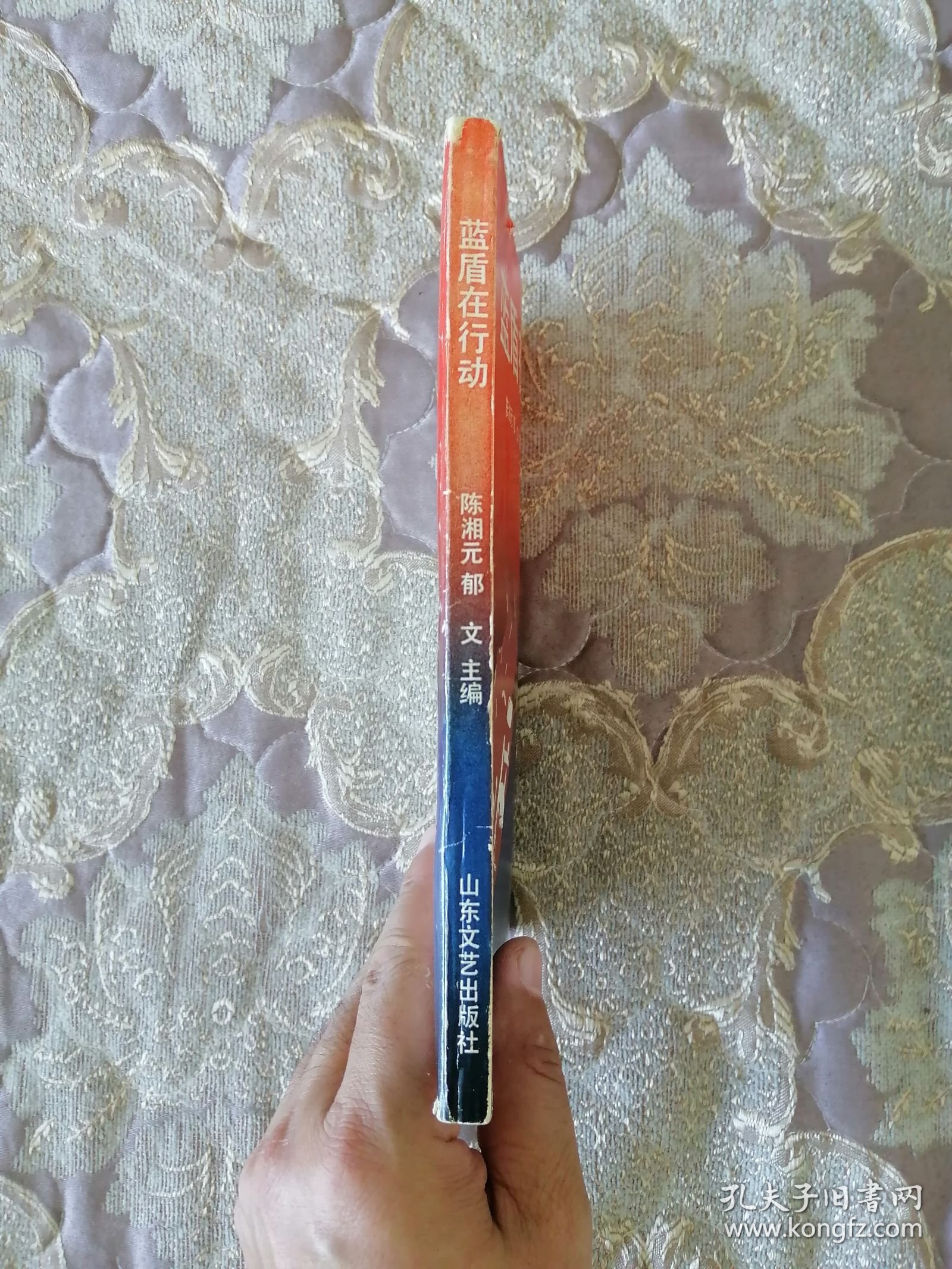 蓝盾在行动 泰山秘闻奇案录（泰安市•侦破）