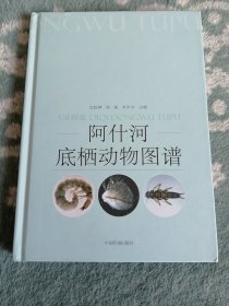 阿什河底栖动物图谱