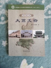 陕西第三次全国文物普查丛书   大荔文物