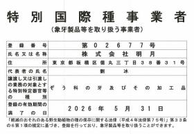 卯年限定——皇室御用雕刻宗师阿部贤次牙芯雕根付琥珀眼睛的白兔（原箱原装黄绫包裹）