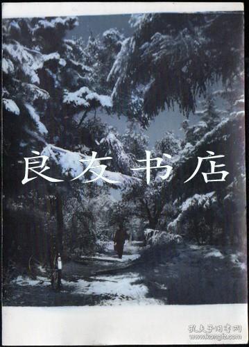 1980年代长春南湖公园雪景彩色大幅（老照片）