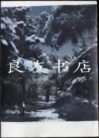 1980年代长春南湖公园雪景彩色大幅（老照片）