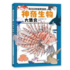 神奇生物大集合（海洋里的庞然大物都有谁？鲸类也有“左撇子”和“右撇子”？海洋科普系列）