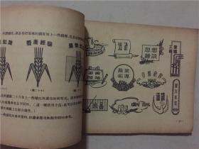 怎样美化黑板报  1958年7印   八品